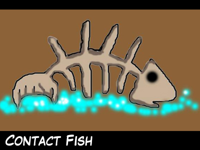 contact